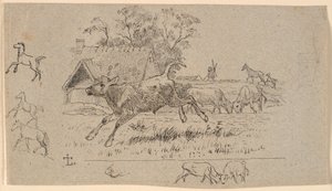 The Herd. Illustration for Kaalund