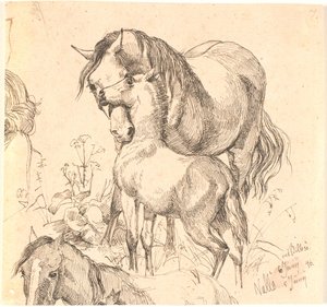 The Mare and the Foal, Currently Horse Study (Back and Head) and Ears of a Foal