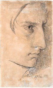 Head of a Serious Young Man, 3/4 Profile to the Right