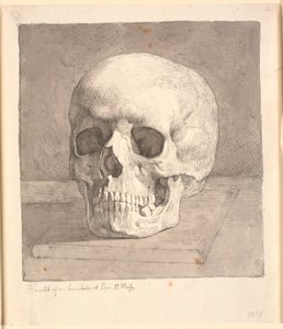 Skull, Seen from the Front by Johan Thomas Lundbye