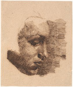 Profile Portrait