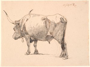 Roman bull with bell around neck, seen from behind by Johan Thomas Lundbye