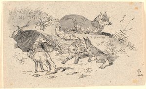 The Fox