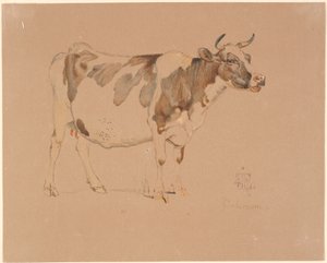 Standing red-spotted cow