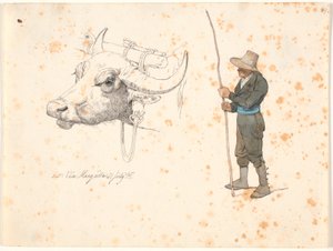 Study of the Head of an Ox and a Standing Field Mouse by Johan Thomas Lundbye
