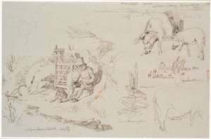 Study Sheet from Vognserup. Left: a shepherd (old Rasmus Larsen) sitting with a dog by a gate. Front: a landscape study with place names. Below: two pigs. Right: study of reeds in a lake. Below: a mullein plant and study of a sow by Johan Thomas Lundbye