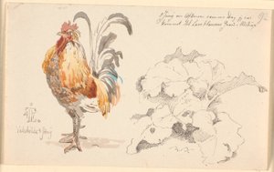 Study Sheet with a Rooster and a Dock Leaf