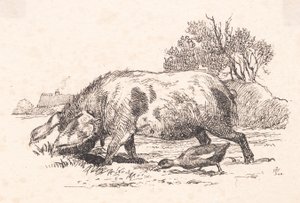 The Pig and the Duck