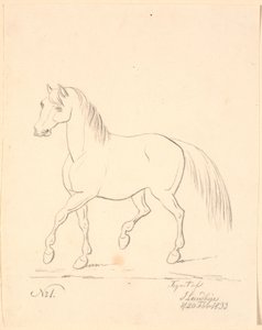 Trotting Horse, Facing Left