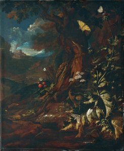 Landscape with Reptiles and Insects (I)