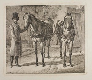 Carriage Horses with Harness