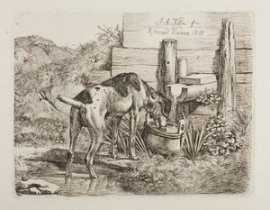 Dog Drinking Water by Johann Adam Klein