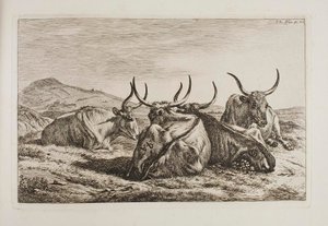 Reclining Oxen by Johann Adam Klein