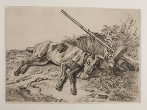 Sleeping Dog by Johann Adam Klein