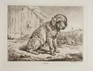 The Poodle Fripon by Johann Adam Klein