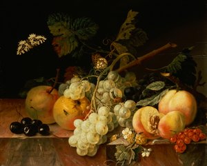 Fruit on a Marble Ledge with Butterflies, Snail and Caterpillar