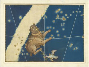 Canis Major - Johann Bayer by Johann Bayer