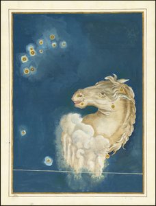 Equuleus by Johann Bayer