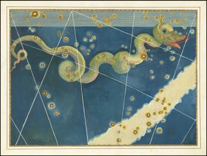Hydra by Johann Bayer