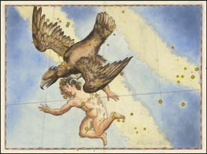 Aquila by Johann Bayer