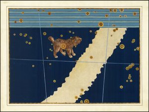 Canis Minor by Johann Bayer