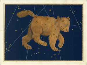 Ursa Major by Johann Bayer