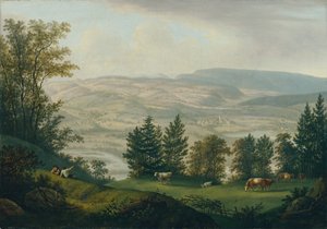 Surroundings of Habsburg Ruins