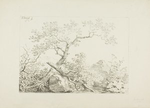 Trees and Rocks by Water