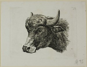 Buffalo Head Facing Left, from Die Zweite Thierfolge