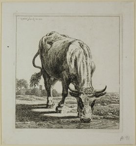 Cow Drinking, from Die Zweite Thierfolge by Johann Christian Reinhart