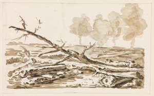 Landscape Sketch with Wood on the Ground by Johann Christian Reinhart