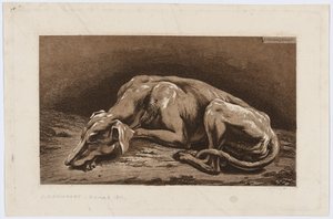 Sleeping Greyhound by Johann Christian Reinhart