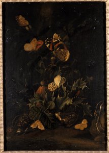 Flowers with Butterflies and Toad by Johann Christian Thomas Winck
