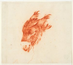 Head of a Donkey