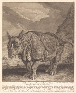 Rhinoceros by Johann Elias Ridinger