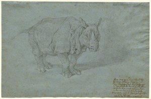 The Rhinoceros Miss Clara