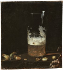 Still Life with Beer Glass and Nuts by Johann Georg Hainz