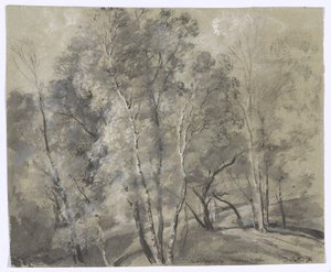 Deciduous Trees on the Slope by Johann Georg von Dillis