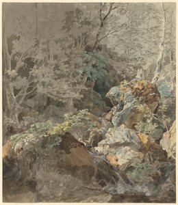 Waterfalls in a Mountain Forest by Johann Georg von Dillis