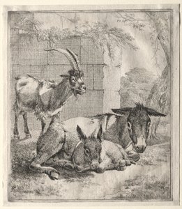 Goat and Donkeys by Johann Heinrich Roos