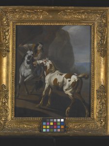 Indian Taming A Horse