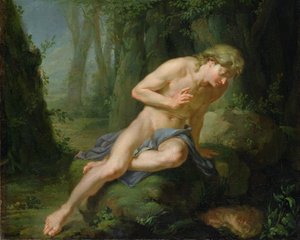 Narcissus