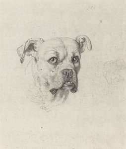 A Boxer by Johann Heinrich Wilhelm Tischbein