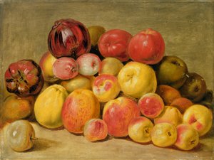 Pieces of Fruit