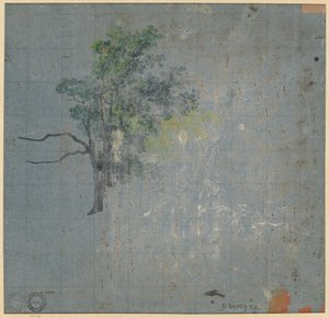 Tree Studies (verso) by Johann Jacob Dorner