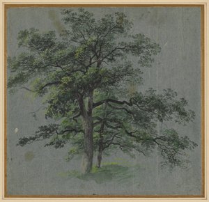 Two Trees by Johann Jacob Dorner