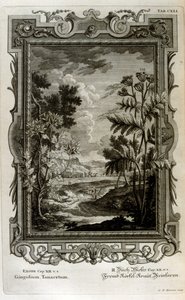 Illustration by Johann Jakob Scheuchzer