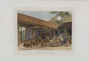 The Sugar Mill. From Malerische Reise in Brasilien