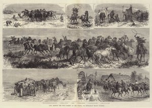 Life Amongst the Wild Horses of the Puszta, or Hungarian Heath Country