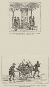 The Cholera at Hamburg